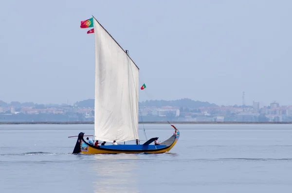 Ετήσιο regatta moliceiros — Φωτογραφία Αρχείου