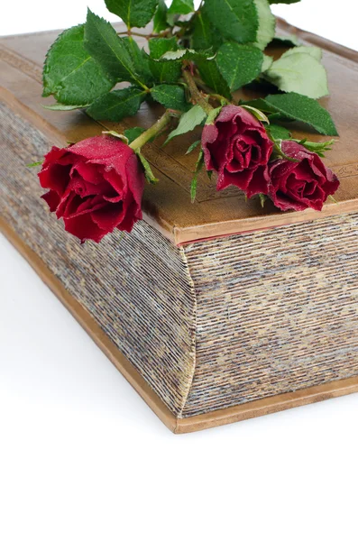 stock image Red roses in a closed book