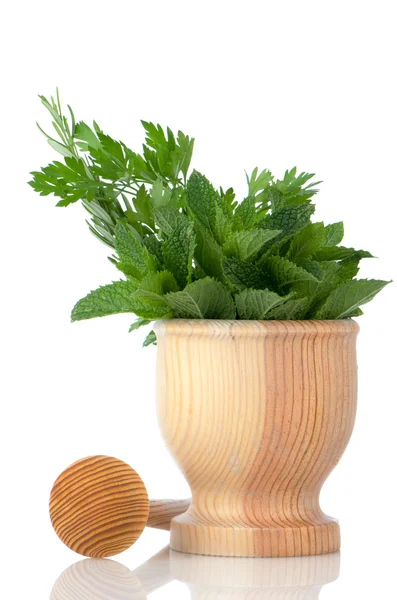 Green herb leafs — Stock Photo, Image