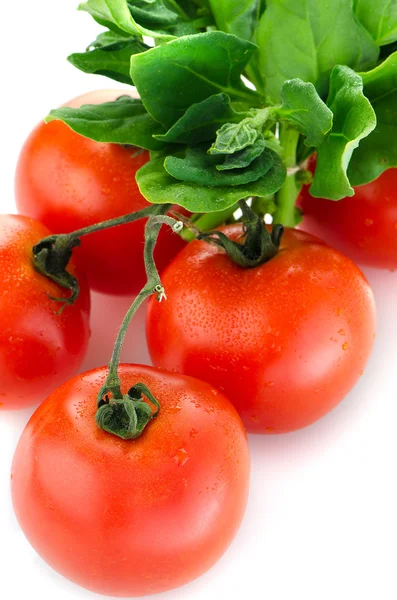 Červené zralé rajče — Stock fotografie
