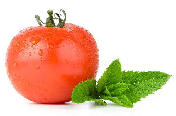 Tomate e hortelã — Fotografia de Stock