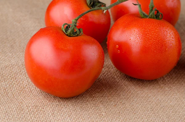 Κόκκινες ντομάτες — Φωτογραφία Αρχείου
