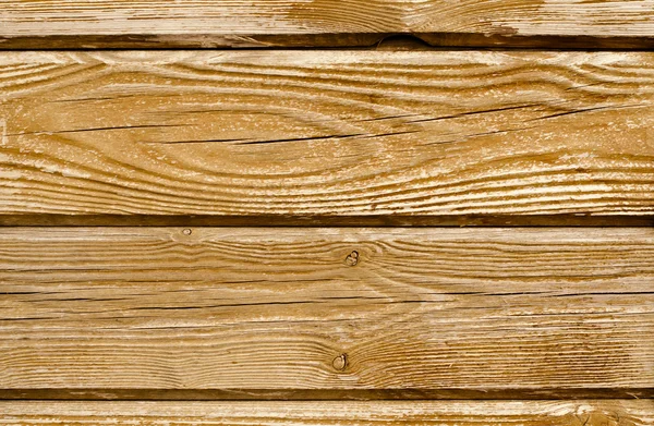 Texture de bois de pin — Photo