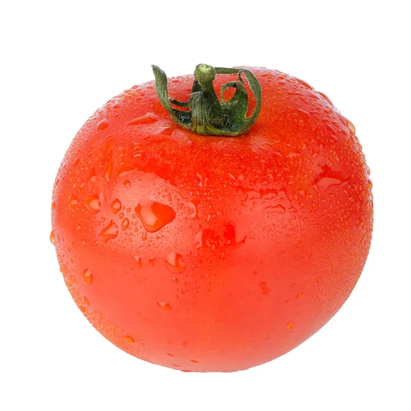 Verse rode tomaten — Stockfoto