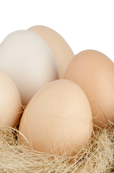 Chicken eggs on nest — Stock Photo, Image