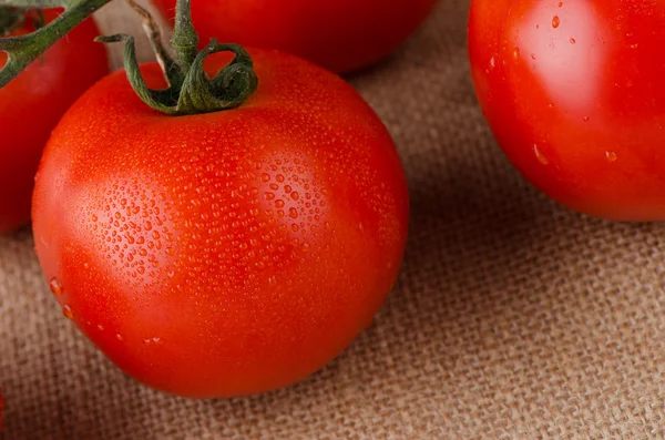 Tomates cherry vid —  Fotos de Stock