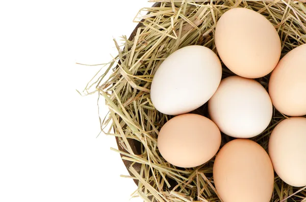 Vértes tojás — Stock Fotó