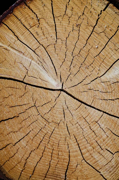 Espiral de madera de grieta — Foto de Stock