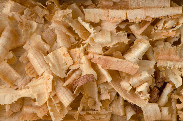 Wood shavings