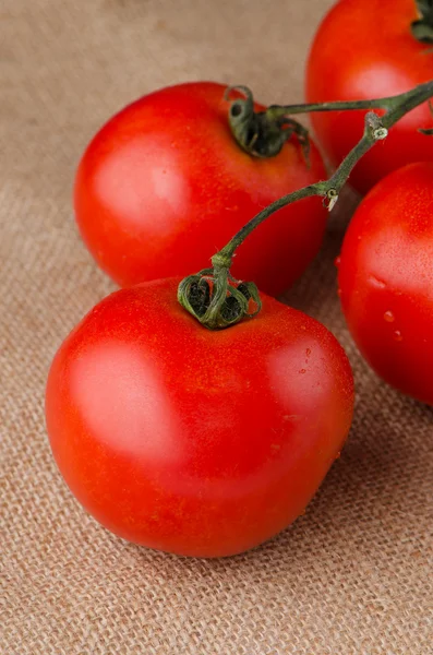 Pomidory czereśniowe winorośli — Zdjęcie stockowe
