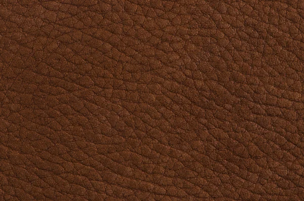 Cuero marrón — Foto de Stock