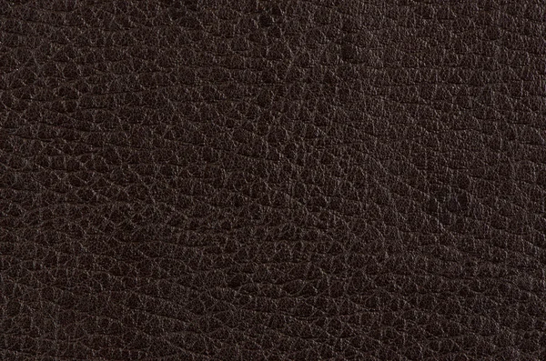 Brown leather — Stock Photo, Image