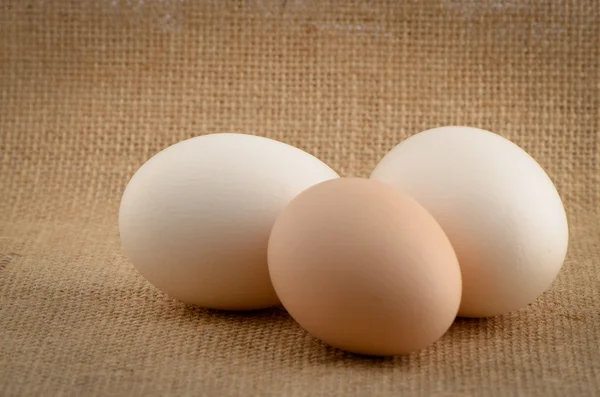 Trzech jaj — Zdjęcie stockowe
