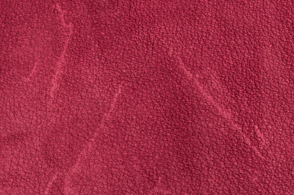 Рожевий шкіряна — стокове фото