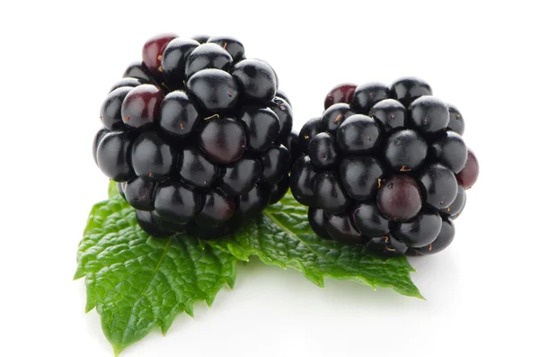 Ripe fresh blackberry — Stock Photo, Image