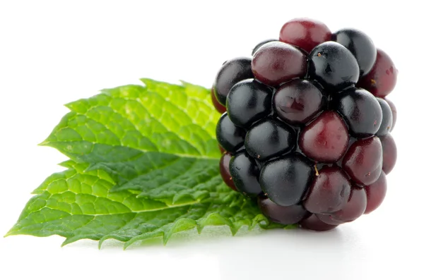 成熟的新鲜黑莓 — 图库照片