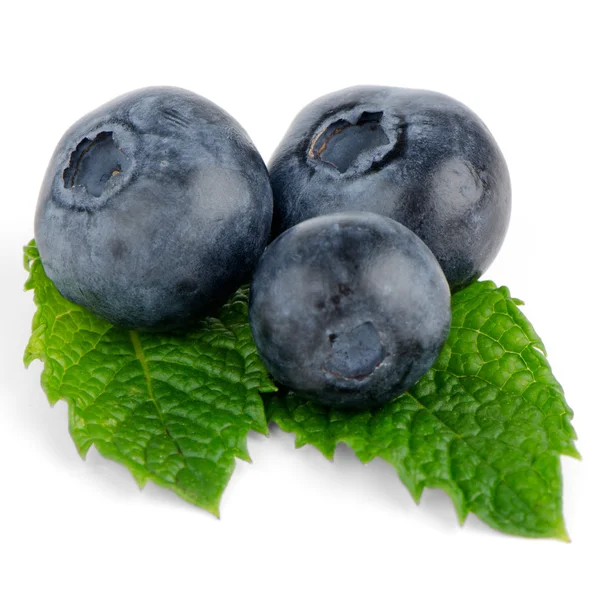 Stock image Ripe blueberry