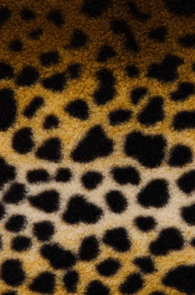 El patrón de la piel del tigre — Foto de Stock