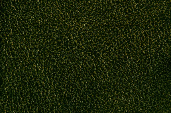 Dark green leather — Stock Photo, Image