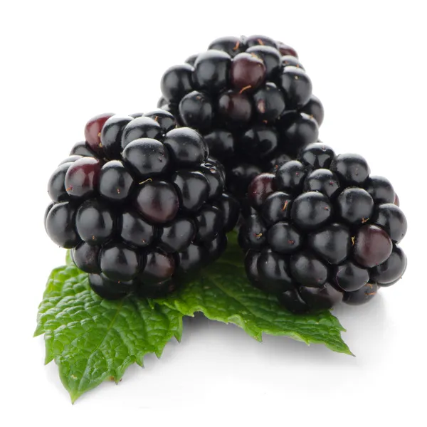 新鲜浆果黑莓 — 图库照片