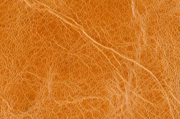 Pelle marrone — Foto Stock