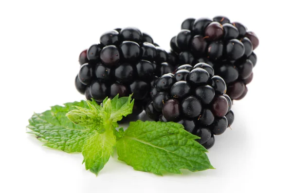 Taze berry blackberry — Stok fotoğraf