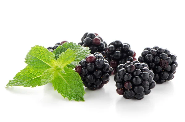 Taze berry blackberry — Stok fotoğraf