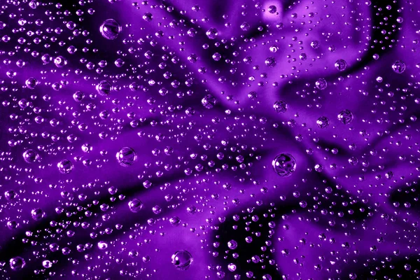 stock image Purple and Water Drops