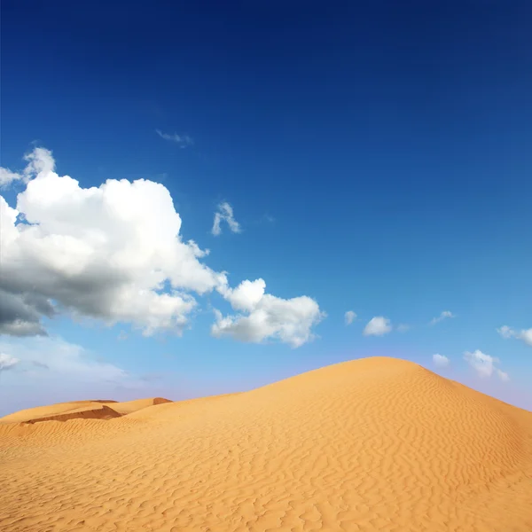Dunas de arena en Sahara —  Fotos de Stock