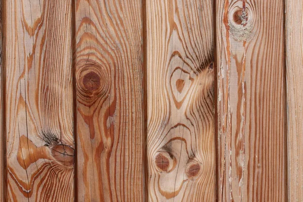 Pine houten — Stockfoto