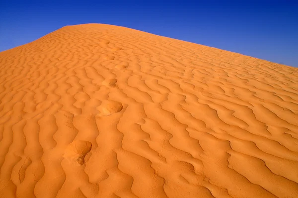 砂の海 — ストック写真