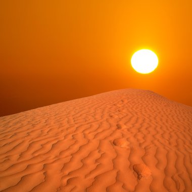 Desert sunrise clipart