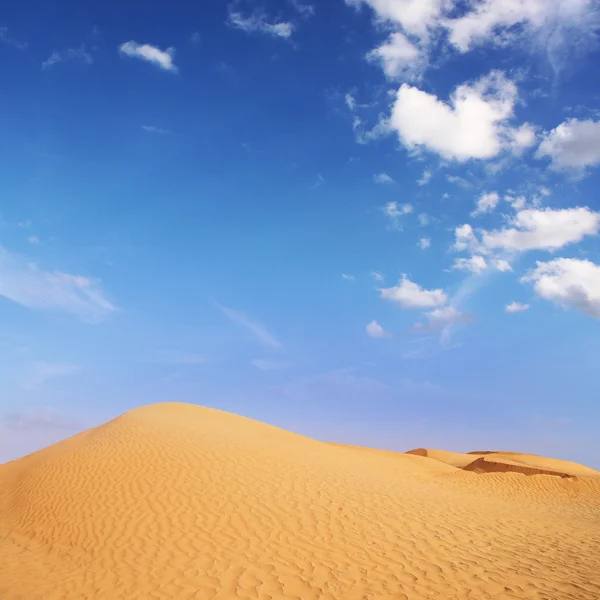 Abenteuer in der Wüste — Stockfoto