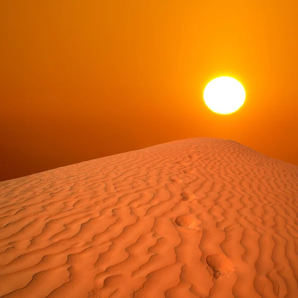 Схід сонця пустелі — стокове фото