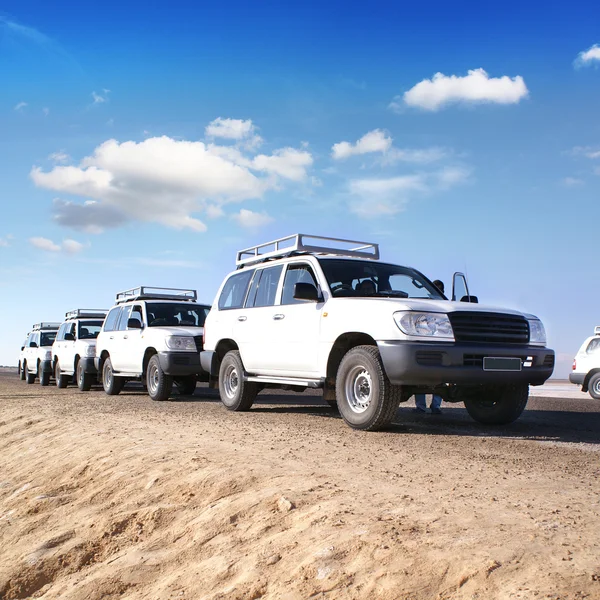 Safari in jeep — Foto Stock