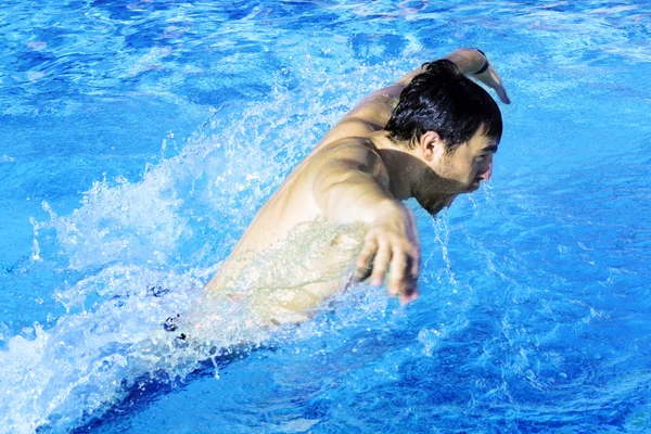 Hobby nadador mariposa en la piscina — Foto de Stock