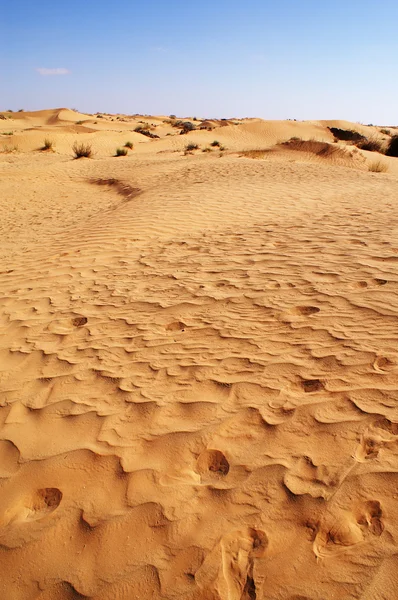 Sand in the desert — Stock Photo, Image