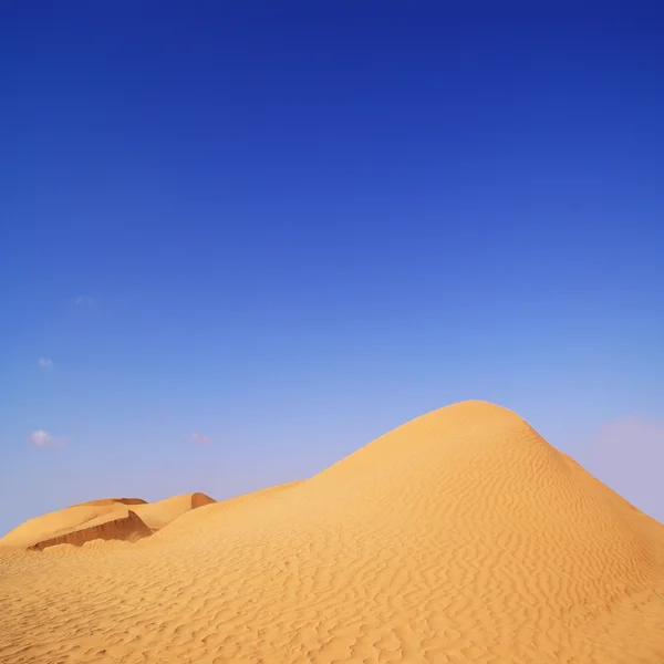 Summer day in the desert — Stock Photo, Image