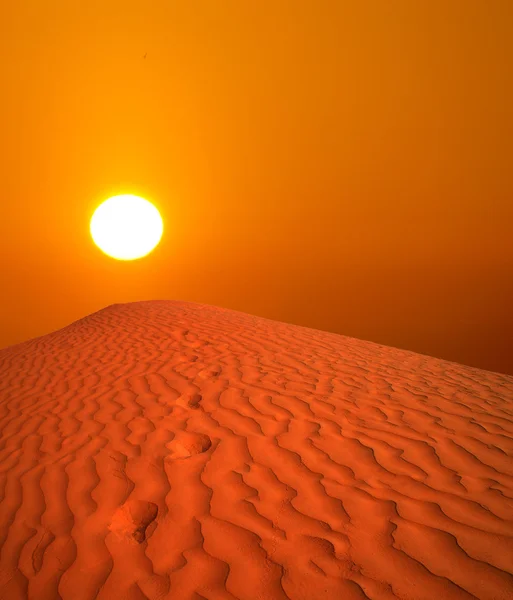 Sahara sonnenuntergang — Stockfoto