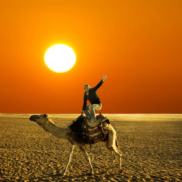 Pose auf dem Kamel — Stockfoto