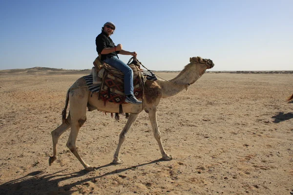 Mit dem Kamel in der Wüste — Stockfoto