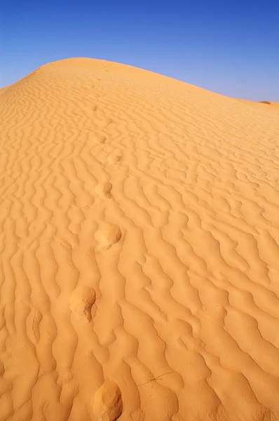 砂漠 — ストック写真