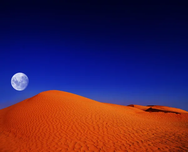 在晚上的非洲沙漠 图库图片