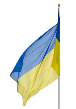 Ukraine national flag clipart