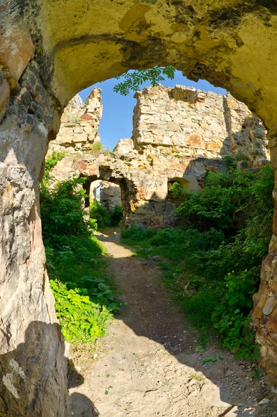 Руины заброшенного Пневского замка на Украине — стоковое фото