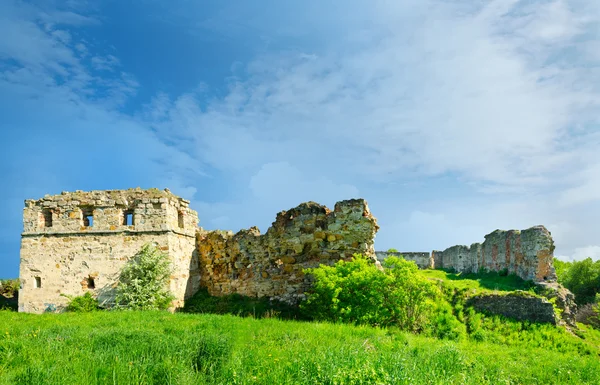 在乌克兰被遗弃的 pnivsky 城堡的废墟 — 图库照片