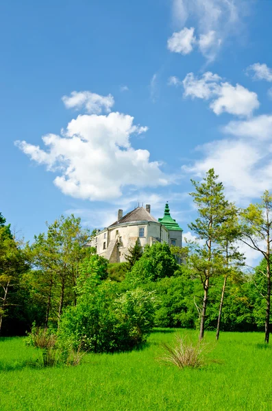 Olesko kasteel — Stockfoto
