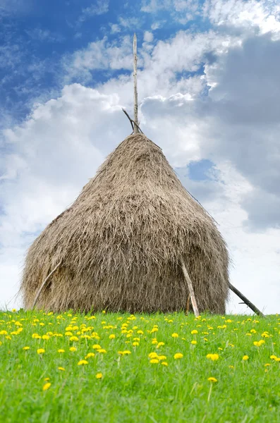 Haystack de formas tradicionales de zonas de montaña — Foto de Stock