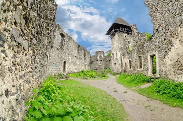 As ruínas do castelo de Nevitsky — Fotografia de Stock