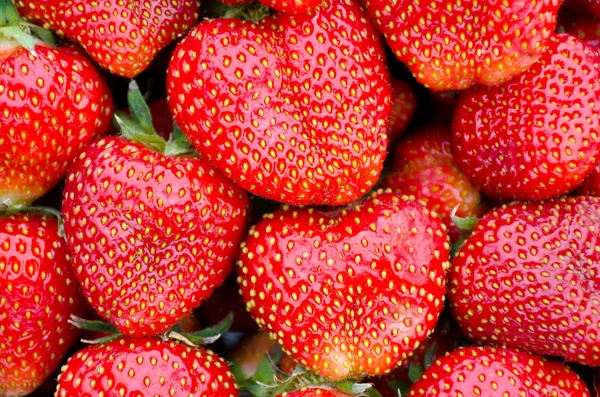 Frische Erdbeeren als natürlicher Hintergrund — Stockfoto